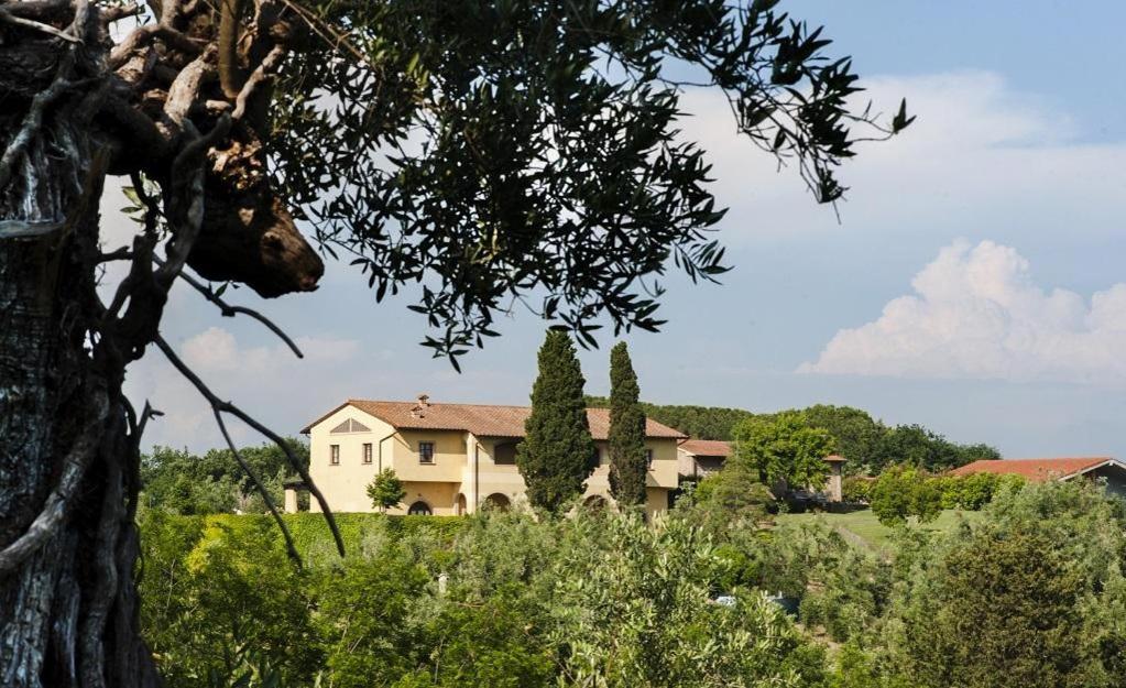Agriturismo L'Antica Fornace Peccioli Kültér fotó